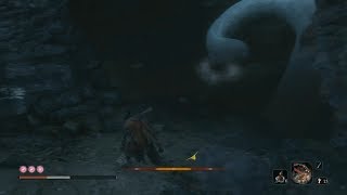 隻狼Sekiro  Shadows Die Twice : 地下白蛇神社