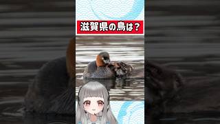 【都道府県クイズ】滋賀県のシンボルをまとめました【 #雑学／覚えると楽しい／ #47都道府県 ／近畿地方 】 #shorts #vtuber #出身地 アーティストさんの曲