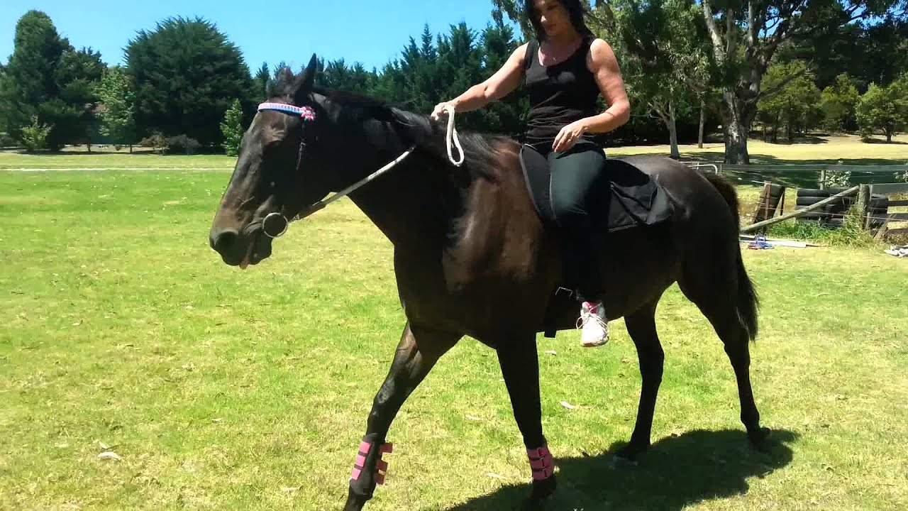 Riding Bareback Youtube