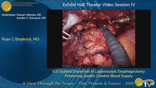 A Novel Application of Indocyanine Green During Robotic Assisted Heminephrectomy...