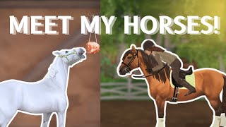 MEET MY HORSES! || SSO RRP