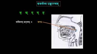 9th-1_2 वर्णोच्चारणस्थानानि CBSE Manika 9th Abhyas Lesson 1