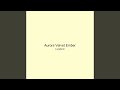 Aurora Velvet Ember