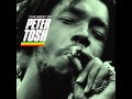 Peter Tosh - 02 - Burial/Babylon Queendom - live