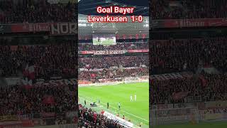 Goal celebration #Bayer04 Leverkusen against #SCFreiburg 1-0 29.10.2023 #bundesliga