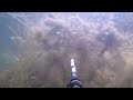 spearfishing in estonia 2022 new lake