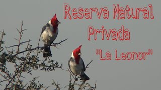 RECORRIENDO La Reserva Natural Privada \