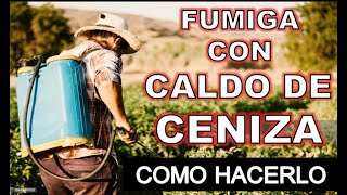 CÓMO preparar Caldo de CENIZA (INSECTICIDA, FUNGICIDA y FERTILIZANTE)