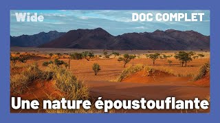 La PURETE des paysages de Namibie | WIDE | DOC COMPLET