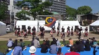 第14回 黒崎よさこい祭り「青春の宴」仰星学園高等学校よさこいソーラン部