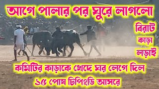 ১৫ পোষ চিপিংডি আসরে ৯ নম্বর কাড়া লড়াই//#new_kara_lorai