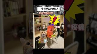 一生要强的男人 #搞笑 #喵不可言 #猫meme #funny #猫meme小剧场 #shorts