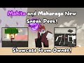 Mahito New Move Showcase!(Jujutsu shenanigans)