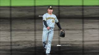 2024年8月28日　阪神タイガース　椎葉剛投手