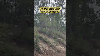 INSANE Side-By-Side Hill Climb at Top Trails OHV Park, Alabama!!  #dirtbike #hillclimb #oami