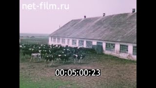 1987г. колхоз Рассвет. Мышковичи Кировский район Могилёвская обл Белоруссия