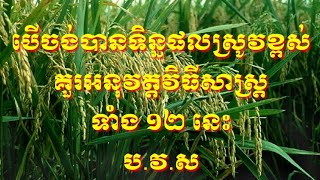 បើចង់បានទិន្នផលស្រូវច្រើន\nគួរអនុវត្តវិធីសាស្រ្ត\nទាំង ១២ នេះ 12 method to get best rice