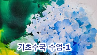기초수국 양감 표현