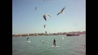 BOAT JOURNEY FROM OKHA COASTAL TOWN IN GUJARAT TO \