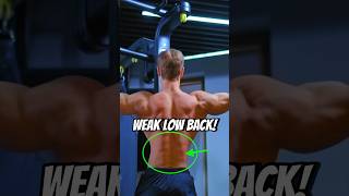 Say Goodbye To Your WEAK Low Back!