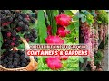 9 Best Edible Vines to Grow in Containers & Gardens #edible