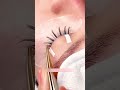 quick wispy lash extensions tutorial arison lashes