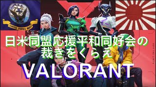 第拾壱話 面白い『#VALORANT』堕天使日米同盟第三海兵遠征軍で行く 配信　【 #ヴァロラント】　✨概要にアメリカ軍さんのXがあります ！ #日本人  #vtuber   #ミリタリー