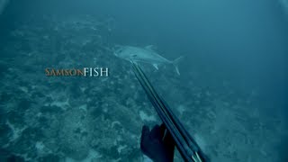 Spearfishing - 14.5kg Samsonfish.