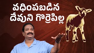 వధింపబడిన దేవుని గొర్రెపిల్ల | Rev.Dr.V.Rangaraju | Sajeeva Swaram | సజీవ స్వరం