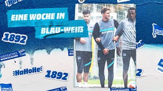 HaHoHe - Eine Woche in Blau-Weiß | 9. Spieltag | Hertha BSC vs. Borussia Mönchengladbach