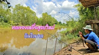 ตกปลาหน้าดิน แม่น้ำสงคราม ทดลองเหยื่อสูตรใหม่ กินไวมาก / ตุ้มแพรว พาเพลิน EP.376