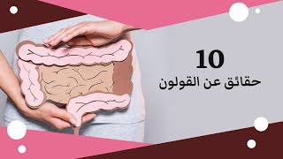 عشرة حقائق عن القولون