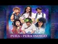 [FULL] PURA-PURA INDIGO | BTS (25/11/23)