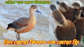 তিন জোড়া নিলে জোড়াা এক জোড়া ফ্রি 01712327314