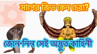 সাপের জিভ চেরা কেন? Saper Jiv chera  Keno? জেনে নিন সেই কাহিনী ll