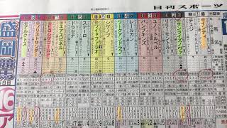 【競馬予想】　　マイルCS 南部杯　金⁉️ 完璧的中🎯