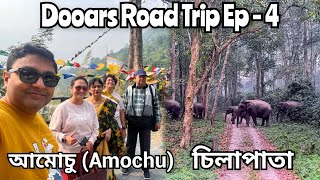 গরুমারা থেকে চিলাপাতা - Chilapata Forest Safari, Amochu Bridge, Chilapata Den  -Dooars Road Trip Ep4