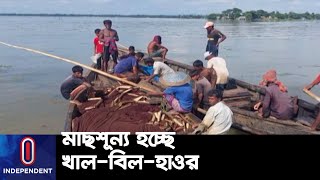 কারেন্ট জালের ব্যবহারে হুমকির মুখে মাছসহ অন্যান্য জলজ প্রাণি || Moulvibazar Current Nets