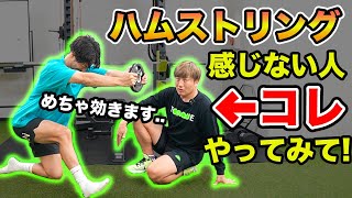 【ハムストリング】反り腰や脚の歪み、腰痛などの不調の改善に！ハムストリングコンディショニングを理学療法士がご紹介！