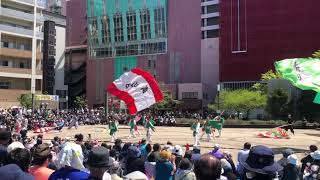 【2019AOMORI春フェスティバル】よさこい 祭りや