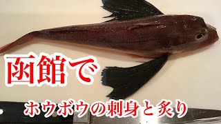 函館産 ホウボウの刺身と炙り刺 分かりやすく紹介 函館居酒屋🏮宝来東屋