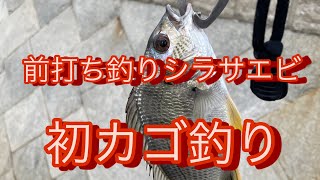 前打ち釣りシラサエビ、初カゴ釣り