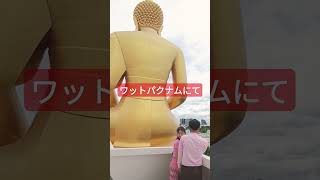 【ワットパクナム】大仏を見守る10Sep2023★★ #shorts  #thailand #タイ旅行 #bangkok #バンコク #タイ  #ワットパクナム #猫 #大仏