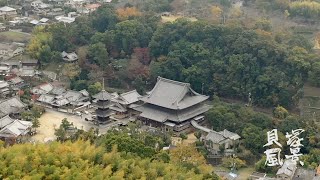 水間寺と寺内町の空撮テスト映像