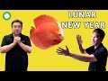 Premium Red Discus & Fancy Goldfish To Celebrate The Year Of The Rabbit | Happy Lunar New Year