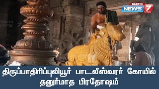 திருப்பாதிரிப்புலியூர் பாடலீஸ்வரர் கோயிலில்  நந்தி பகவானுக்கு நடைபெற்ற சிறப்பு அபிஷேக ஆராதனை