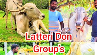 Latheri Don Group's Setti Thala Mass Remix Video's