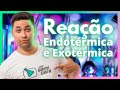 REAÇÃO ENDOTÉRMICA E EXOTÉRMICA - MACETE DO PROF. GABRIEL CABRAL