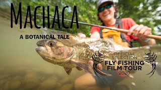 Machaca - A Botanical Tale - FULL FILM