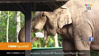 นิวอรุณสวัสดิ์ | ช่วงที่ 2 | 27 พ.ย. 60 | newtv18